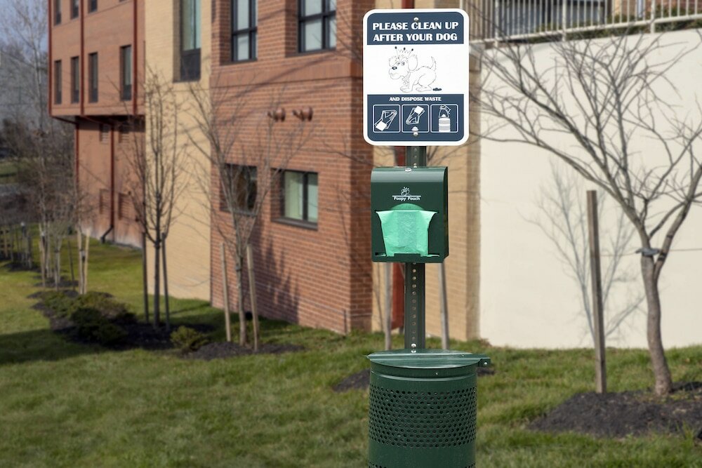 Фото TownePlace Suites by Marriott College Park