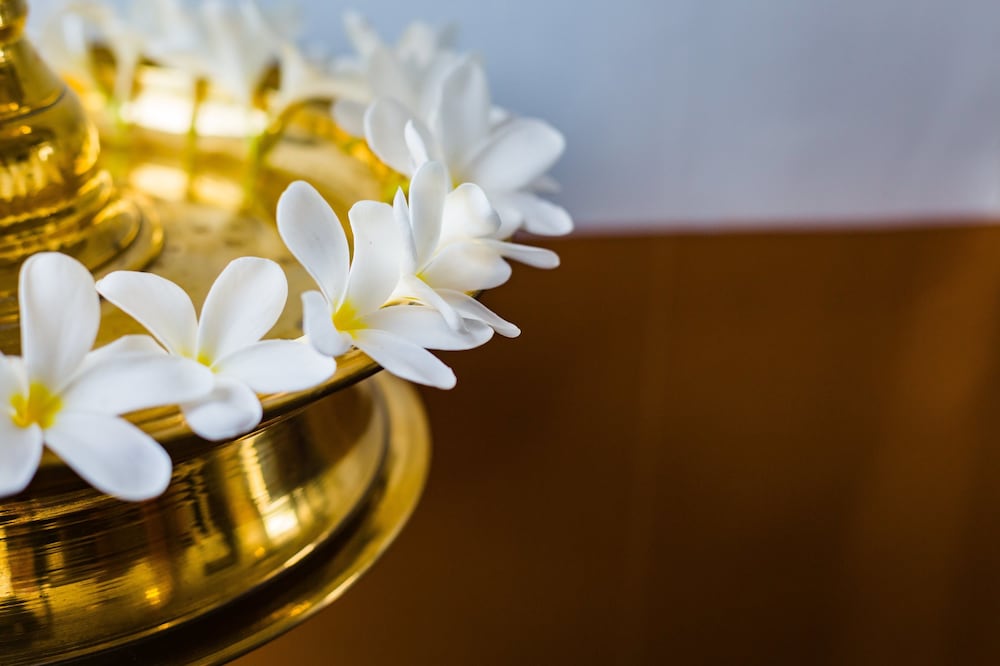 Фото Mekosha Ayurveda SPA Retreat