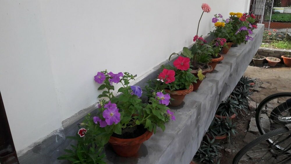 Фото Indira Lodge