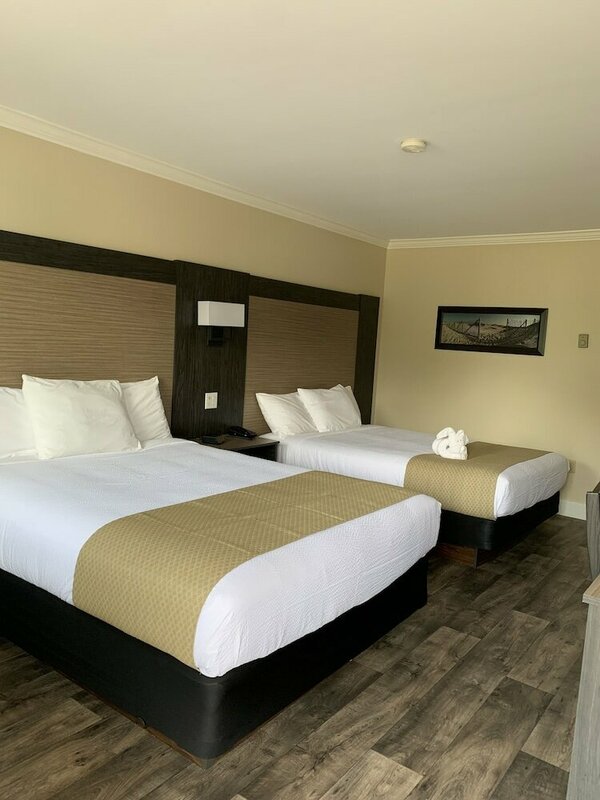 Гостиница Cairns Motel
