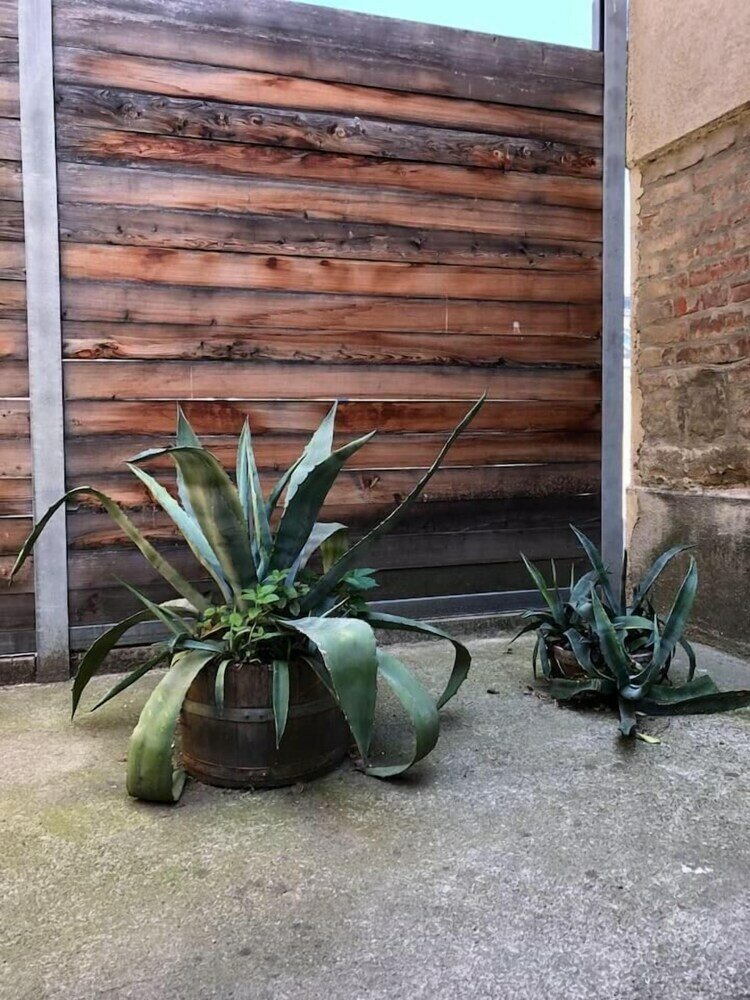 Фото Blueberry Living City Apartment