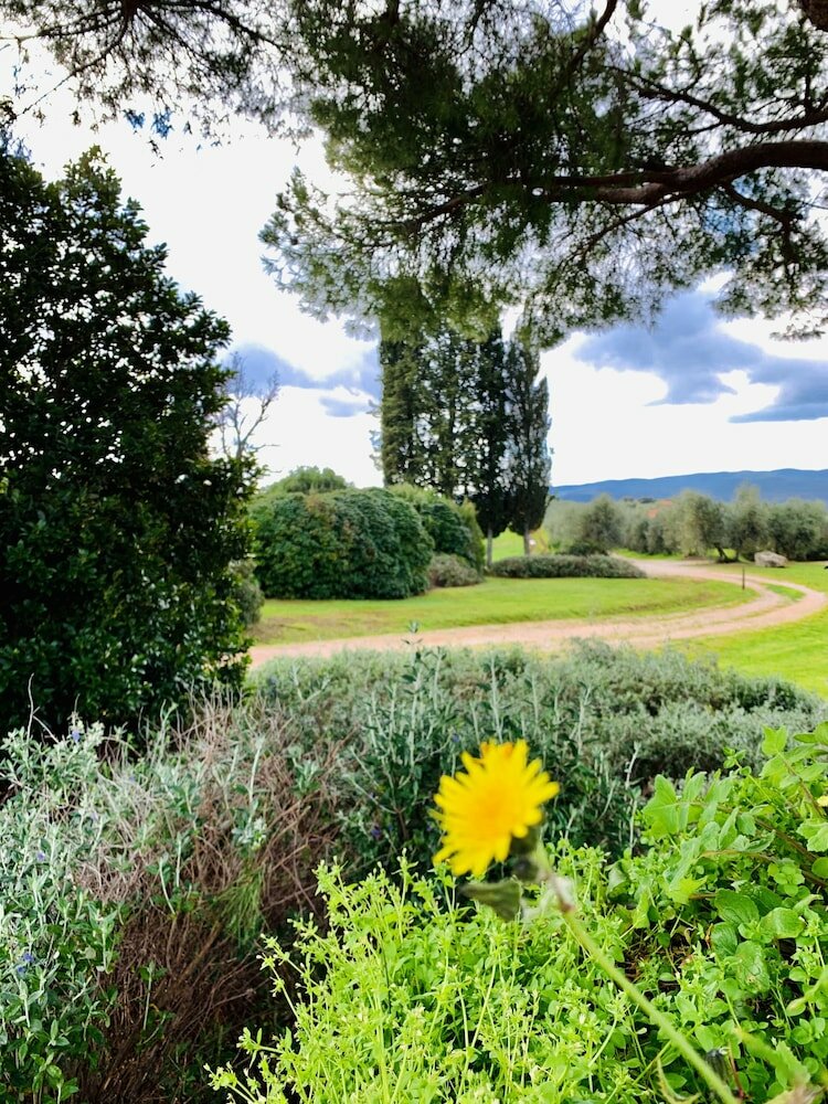 Фото Tenuta Agricola Fraschiera