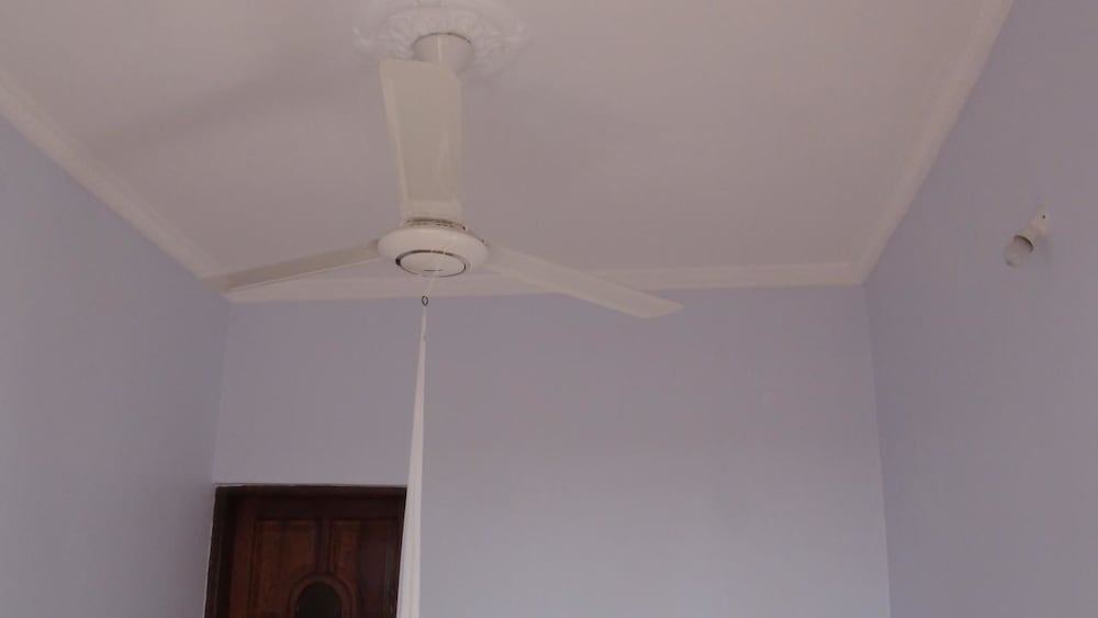 Фото Crim Wind Freedom