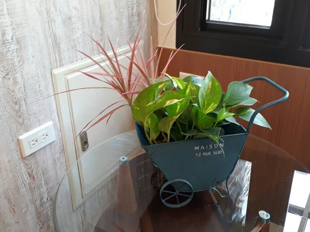 Фото Loves Light Travel