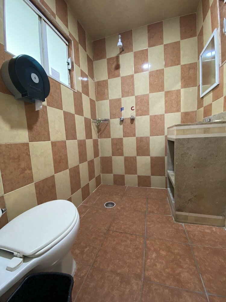 Фото Hotel Royal Puebla