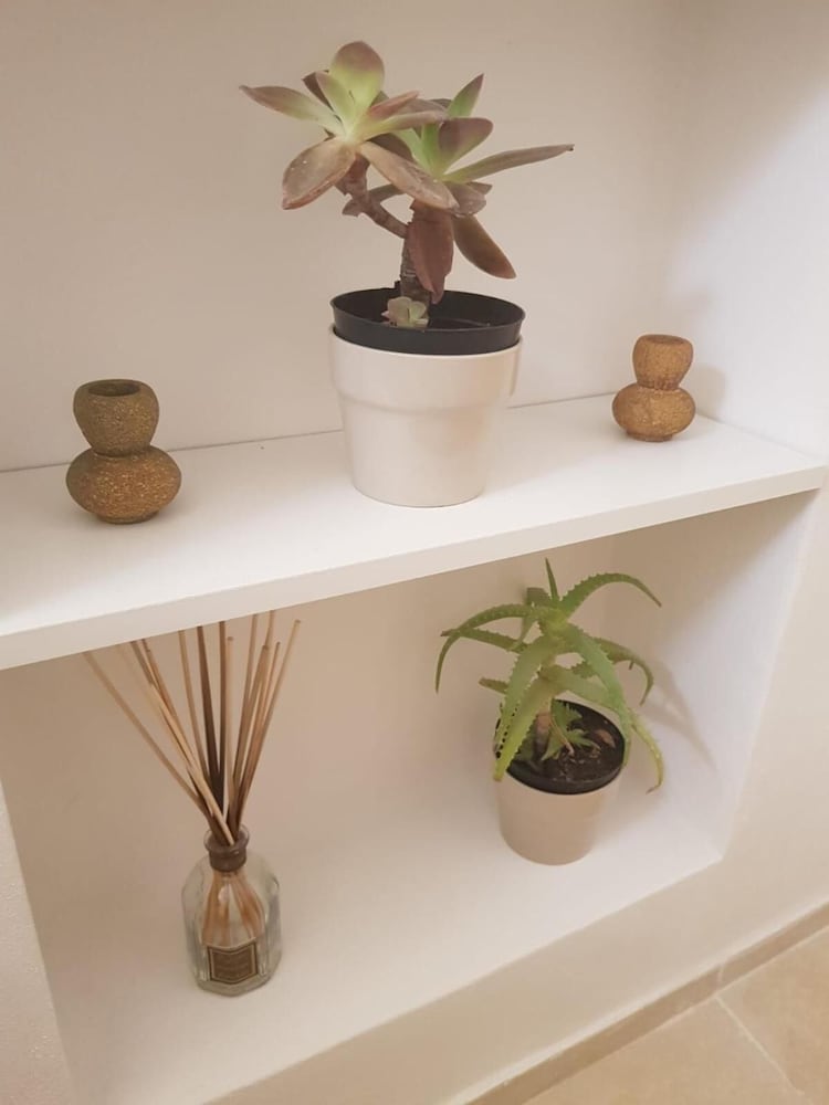 Фото Sea and Tradition