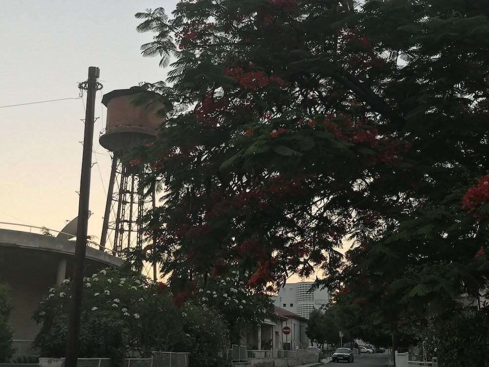 Фото Avgi's Home