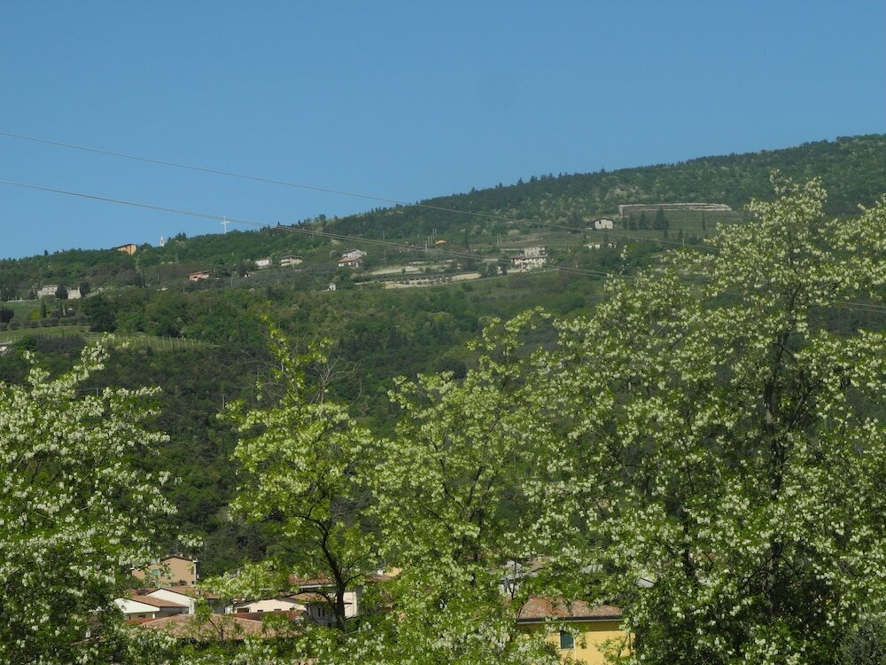 Фото B&b Mimosa e Lillà