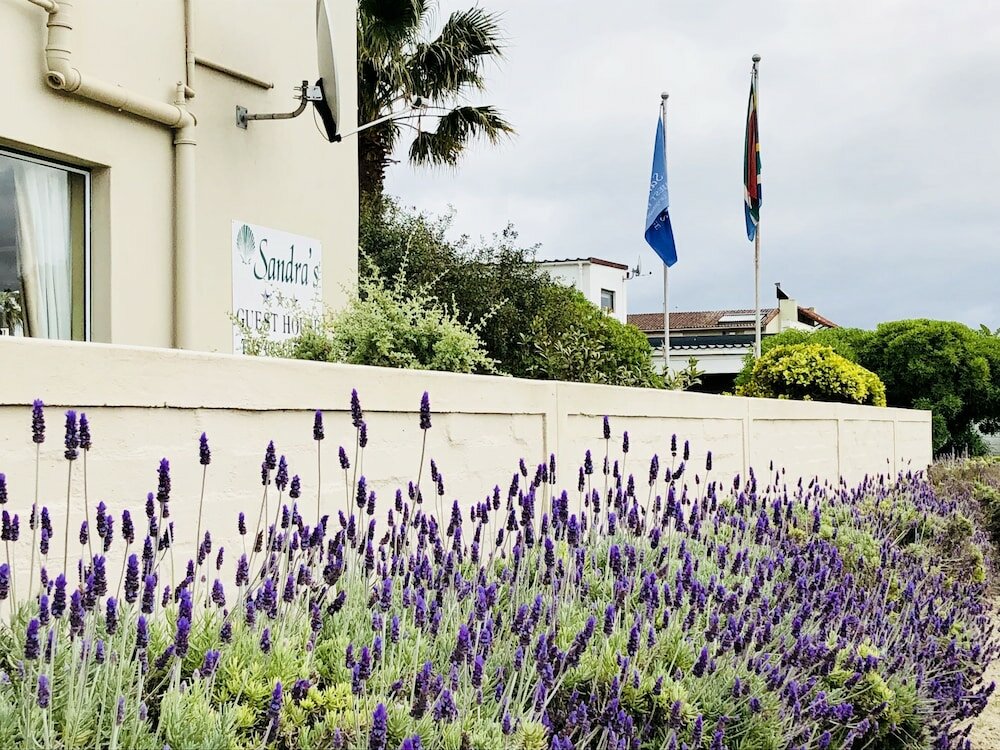 Фото Sandra's Guest House