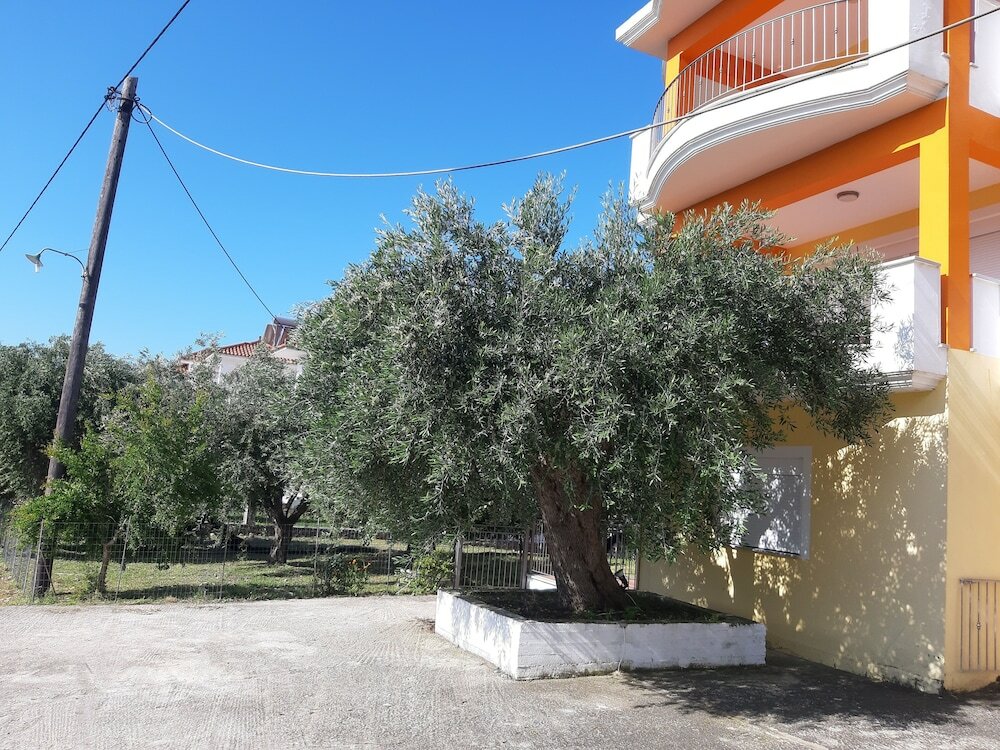 Фото Olive Tree Apartment