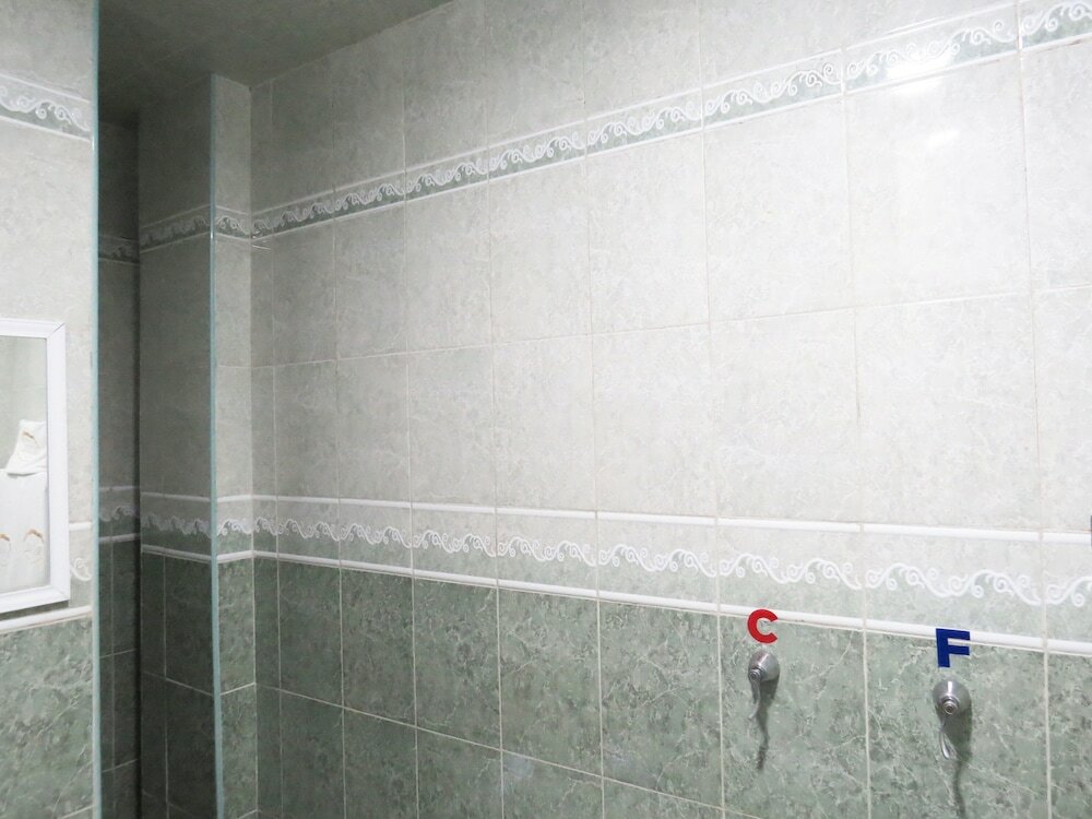 Фото Hotel Royal Puebla