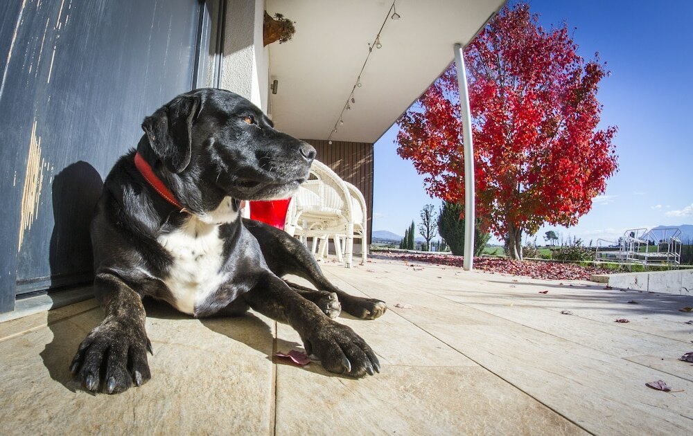 Фото Agriturismo Bio Relais Terra del Vento