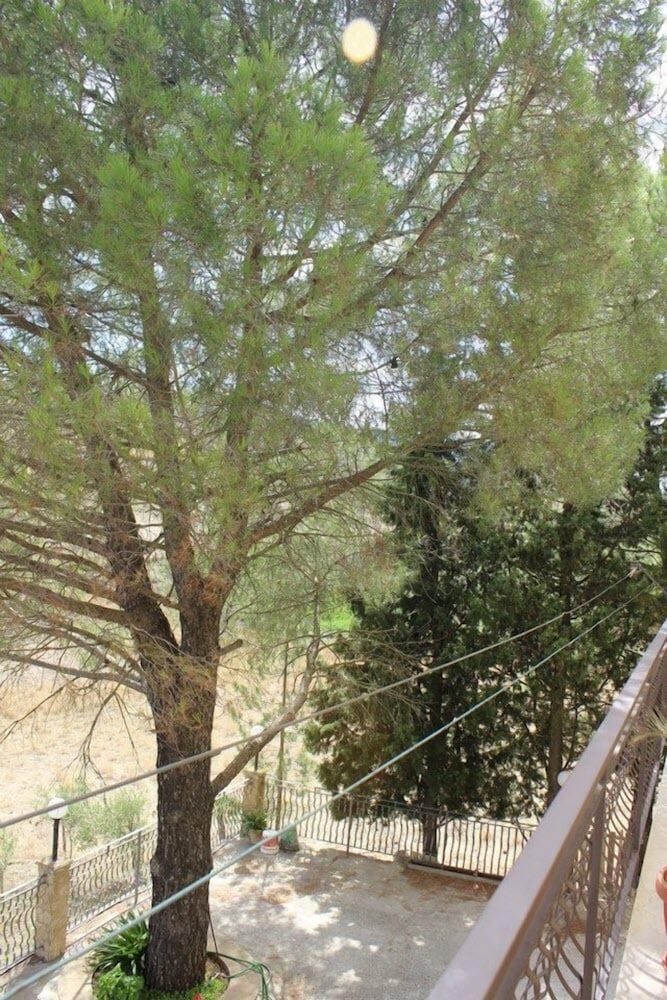 Фото B&b Nonna Grazia