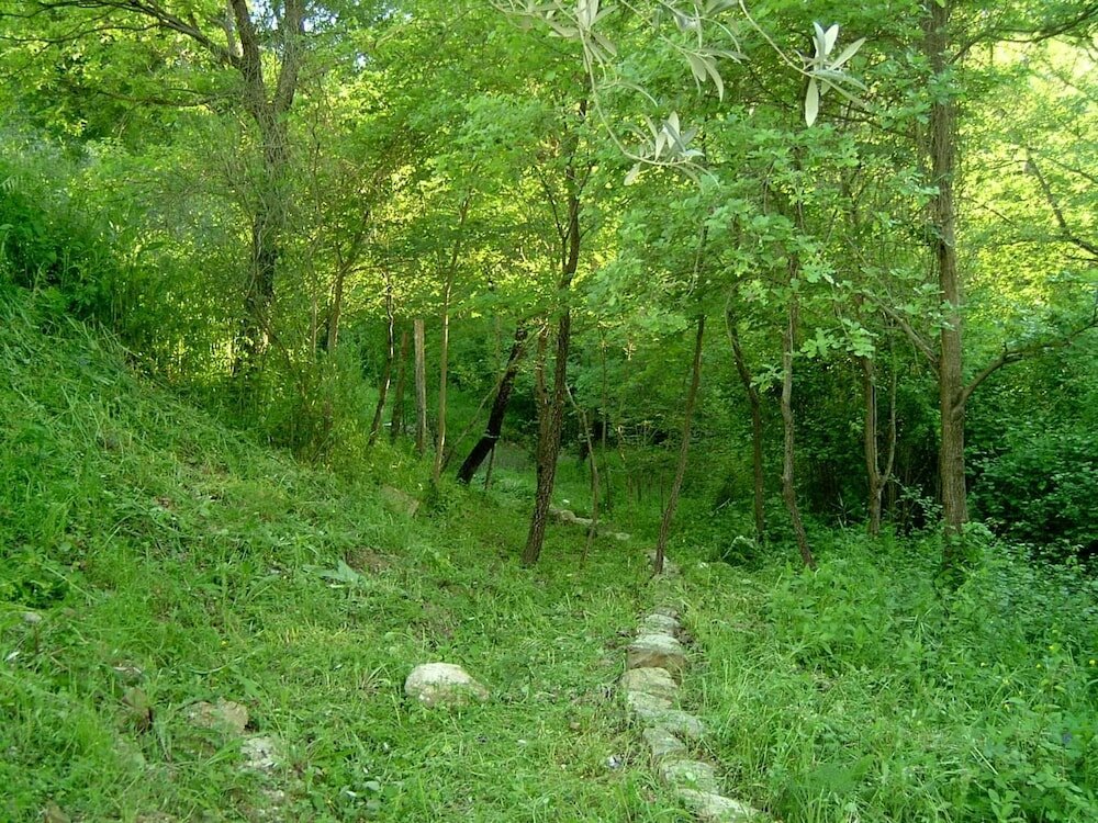 Фото Agriturismo le Cammarose