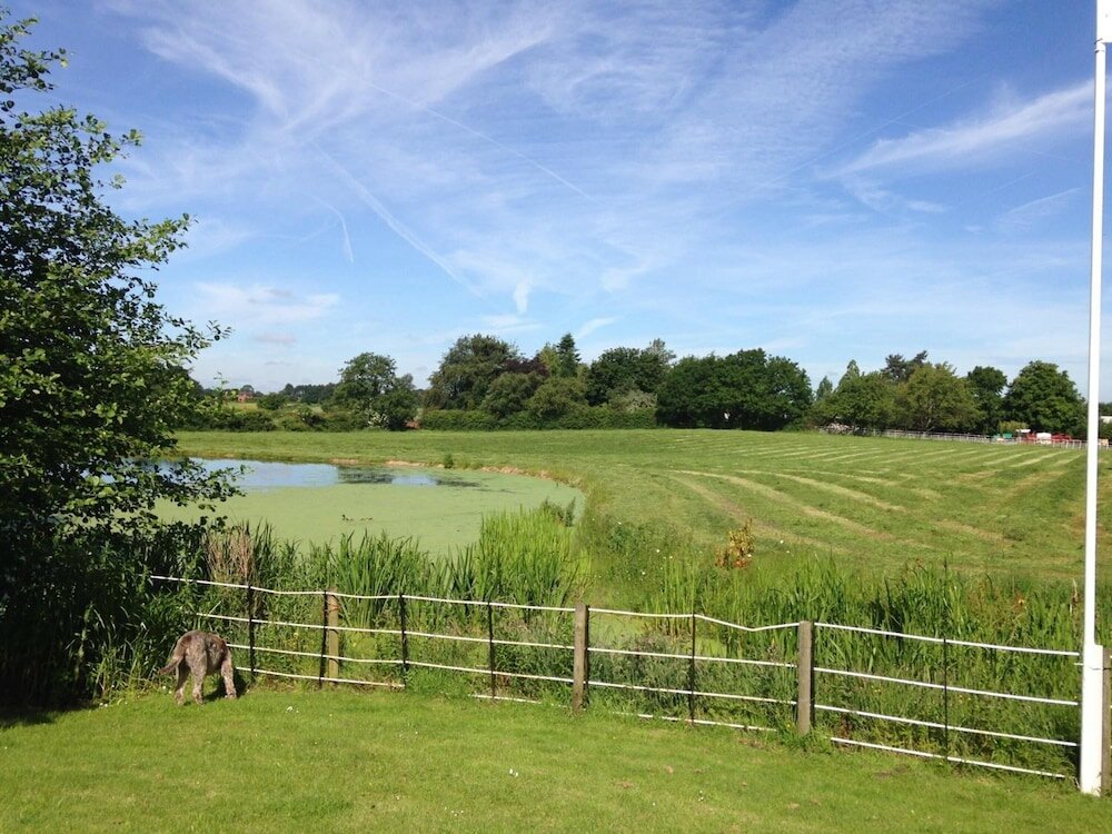 Фото Whitethorn Bed and Breakfast