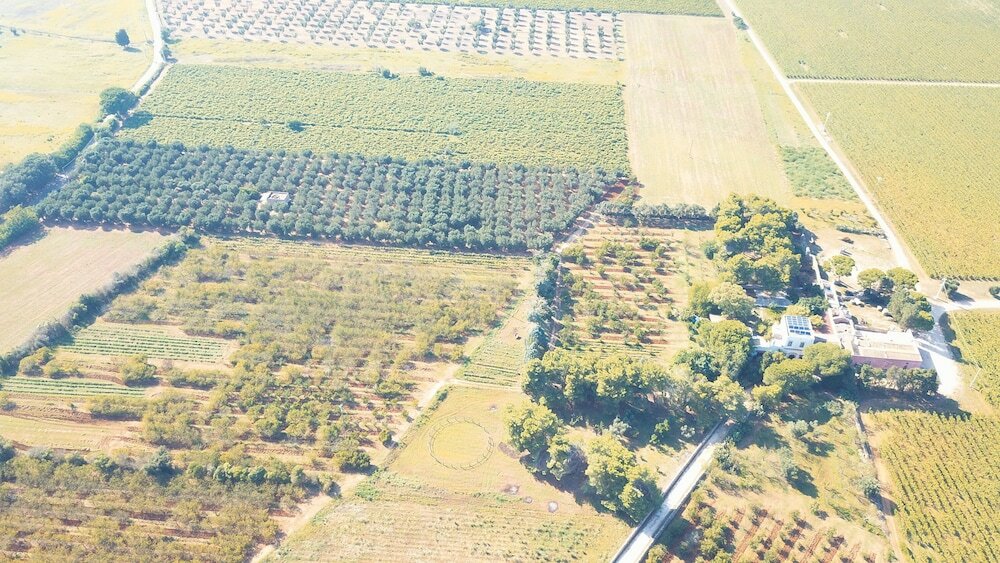 Фото Agriturismo Masseria Piutri