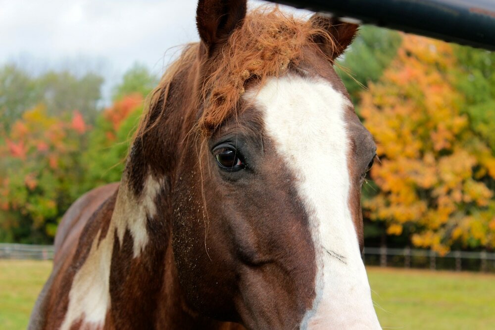 Фото Denmark Stage Stop House