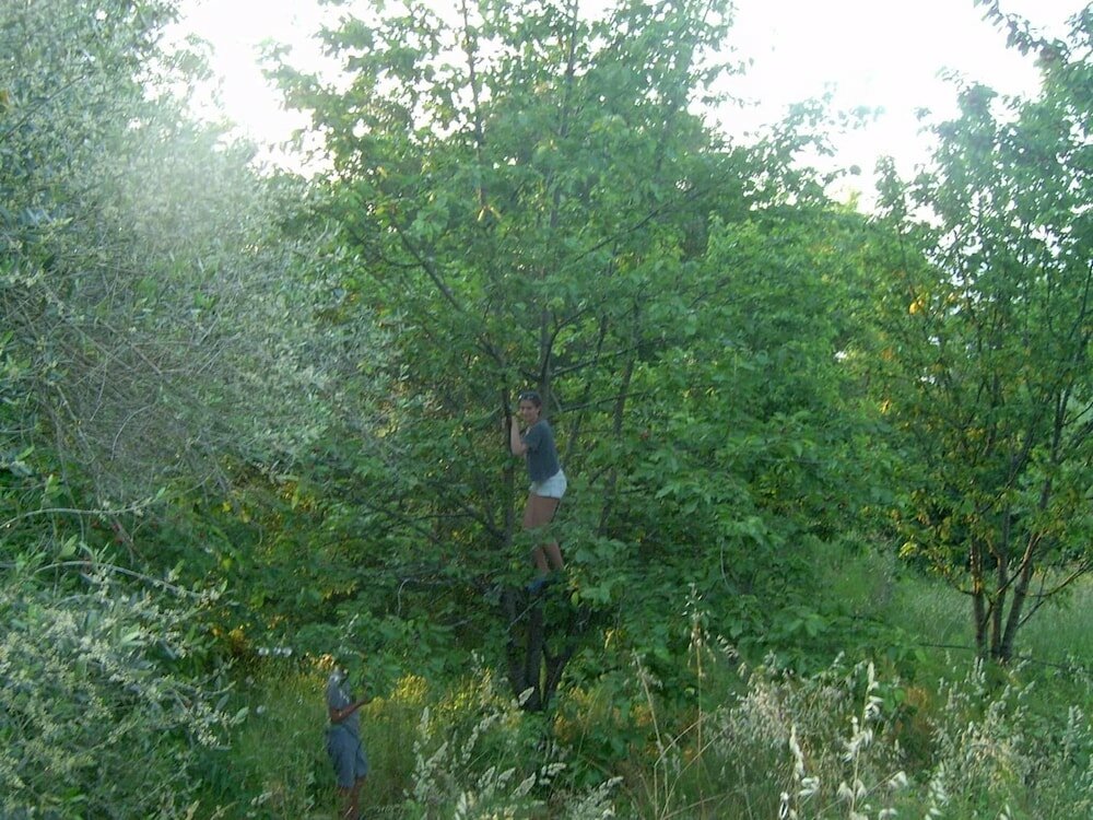 Фото Agriturismo le Cammarose