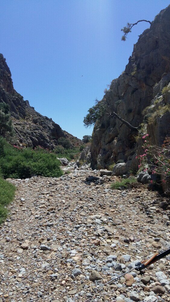 Фото Ambeles Apartments