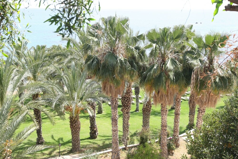 Фото Ascos Coral Beach Hotel by Tsokkos