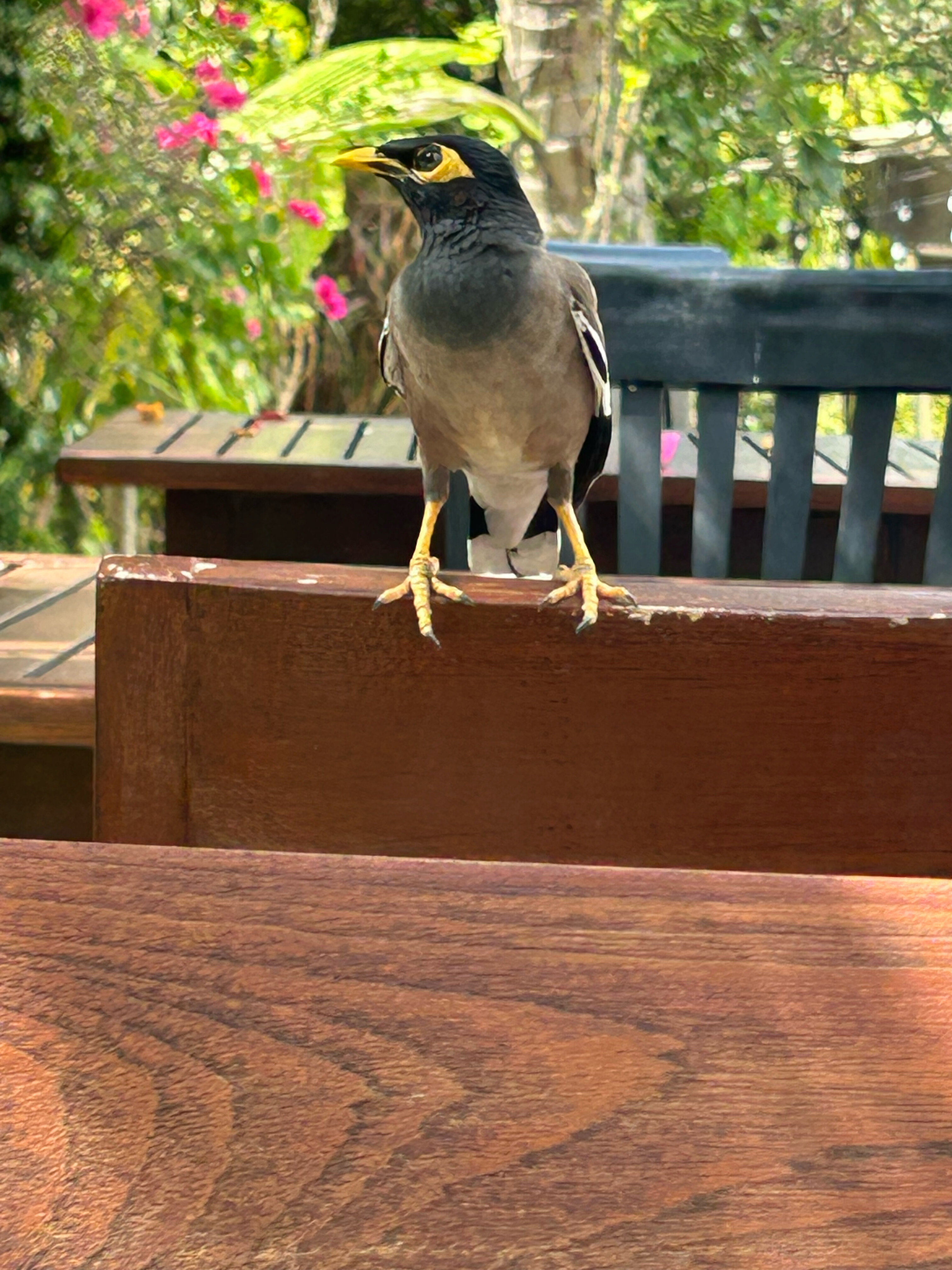 Фото The Front Village