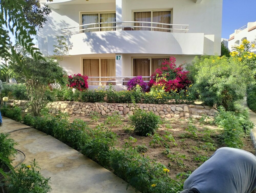 Фото Viking Club Sharm El Sheikh