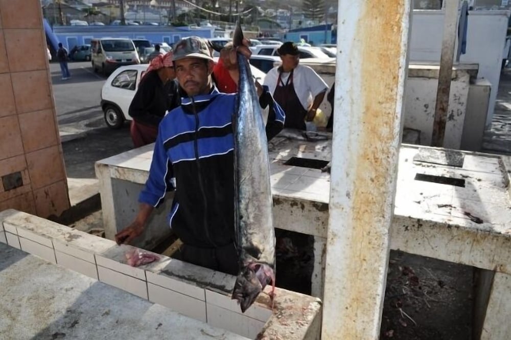 Фото Seacliffe Lodge