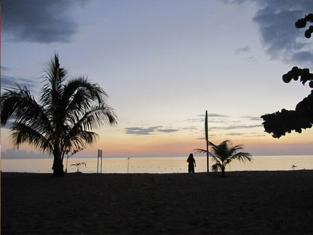 Фото The Yellow Bird