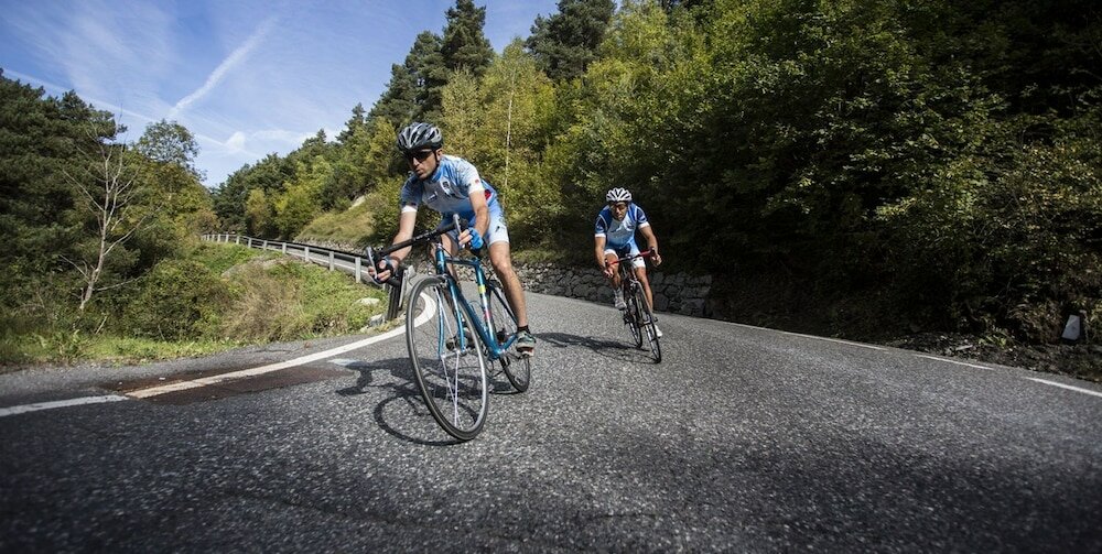 Фото Hotel Llop Gris