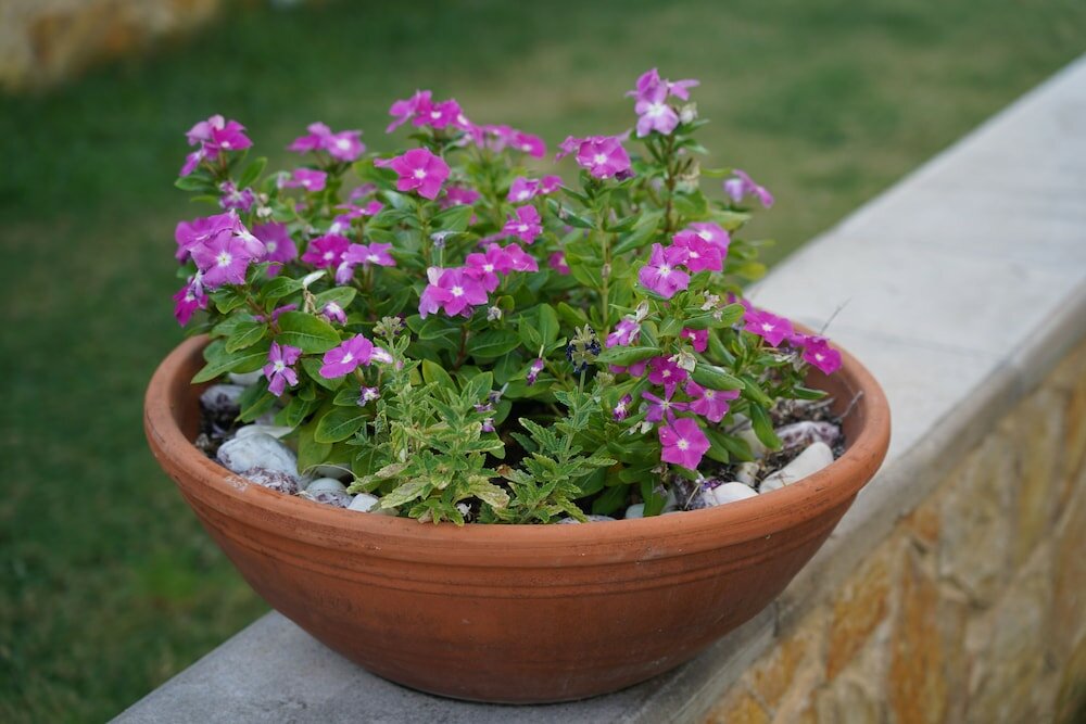 Фото Ledra Maleme Hotel