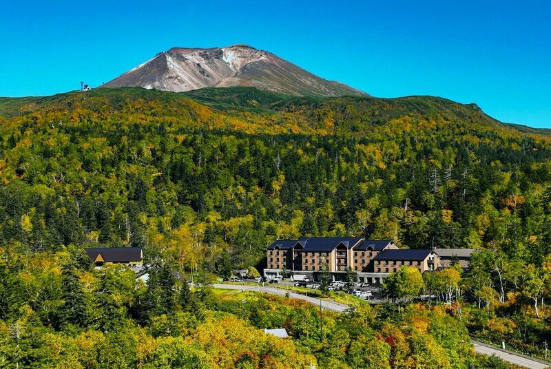 Гостиница Asahidake Onsen Hotel Bear Monte