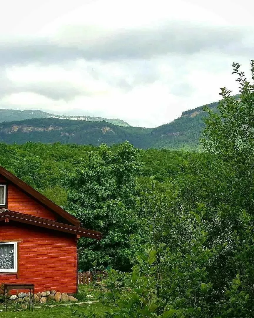 Фото Шале Дрозды