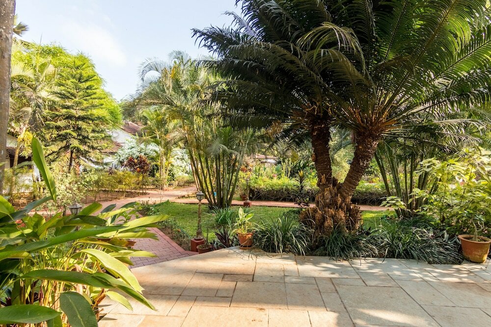 Фото Granpa's Inn Hotel Bougainvillea