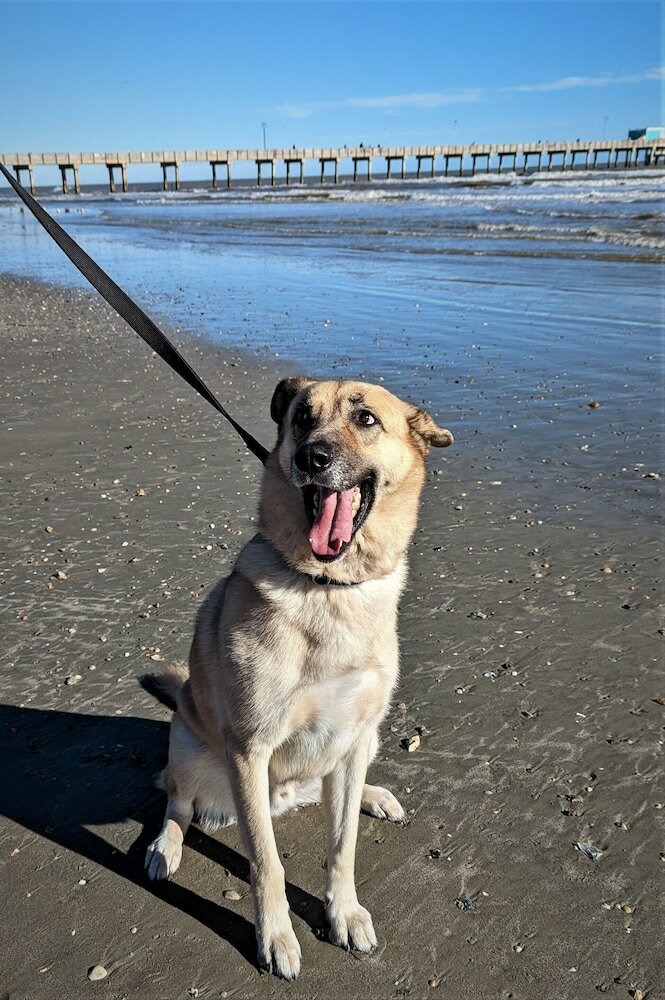 Фото The 1890 Freeman House