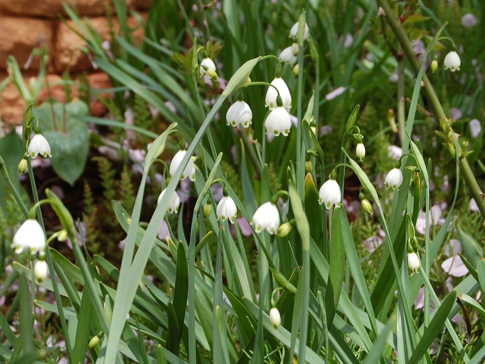 Фото Onsen Pension Hanasakiyama