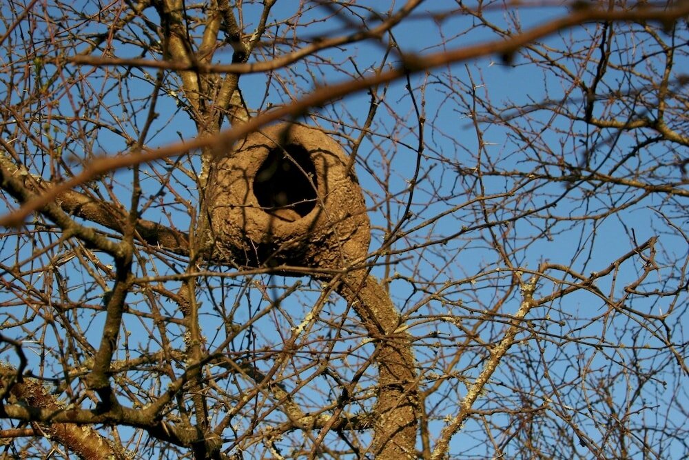 Фото Estancia Río de las Aves