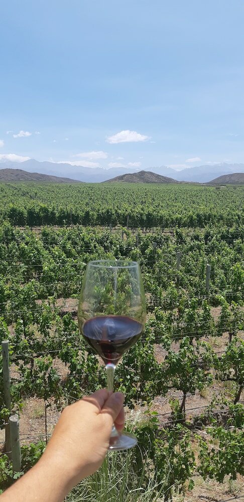 Фото Auberge du Vin, a Tribute Portfolio Hotel, Tupungato