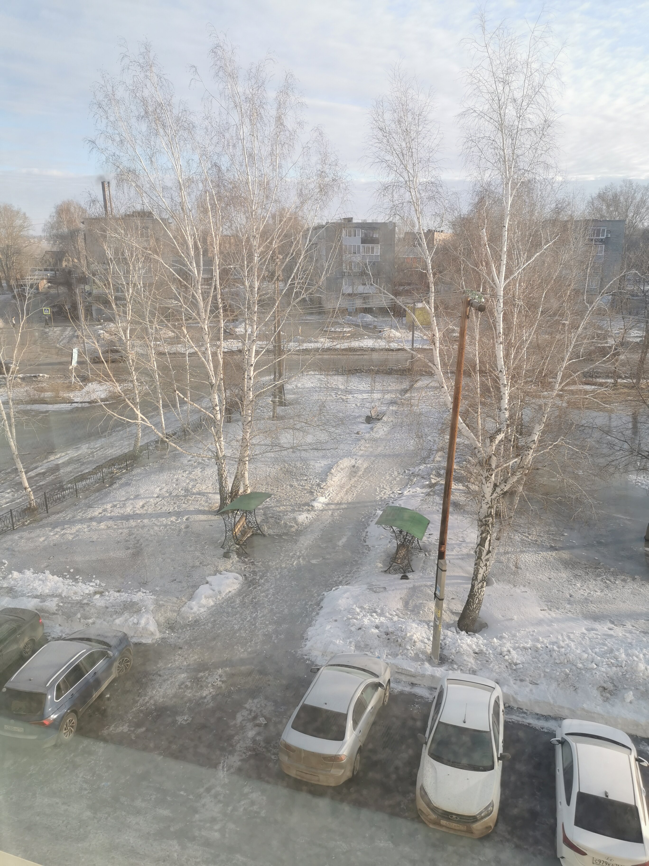 Фото Алейка