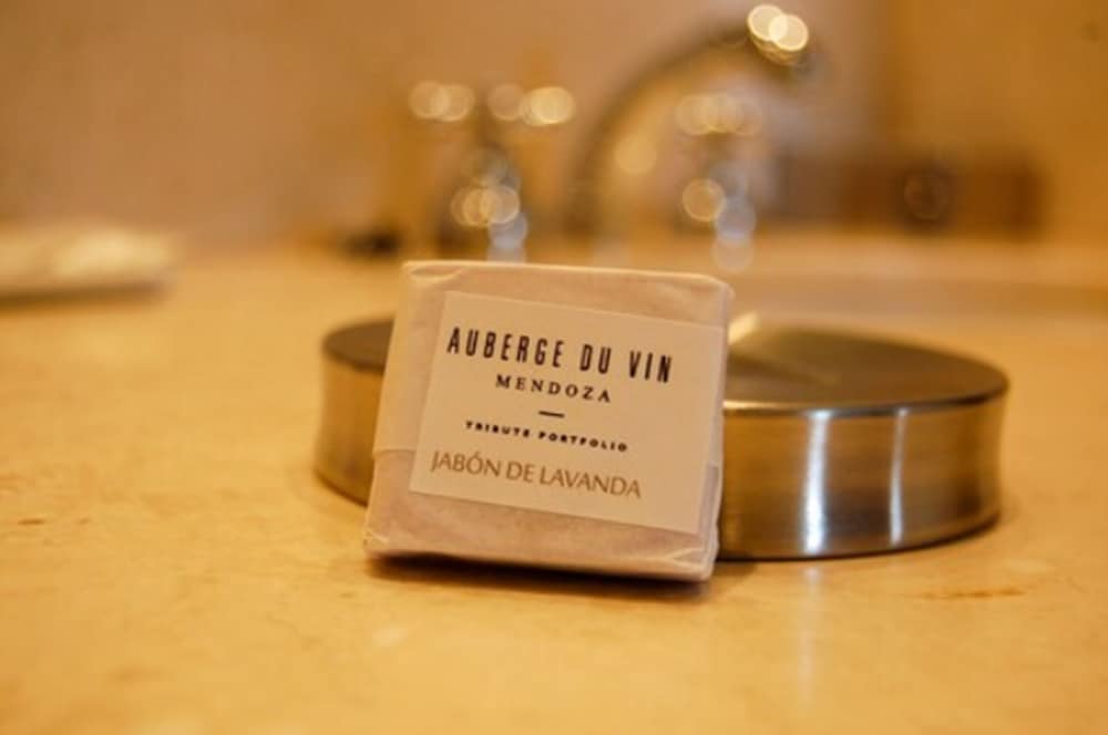 Фото Auberge du Vin, a Tribute Portfolio Hotel, Tupungato