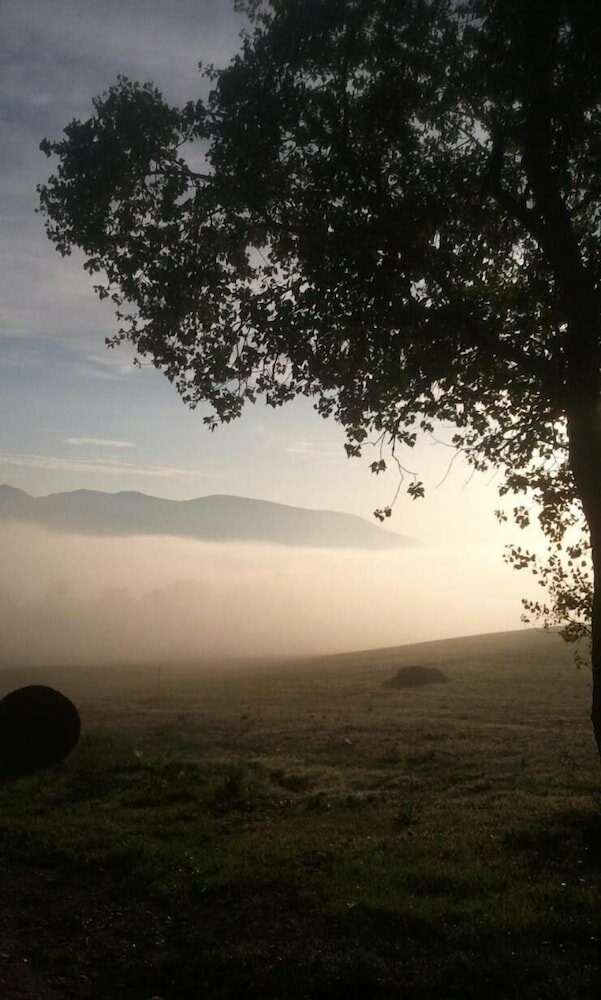 Фото Pietra Maula Agriturismo