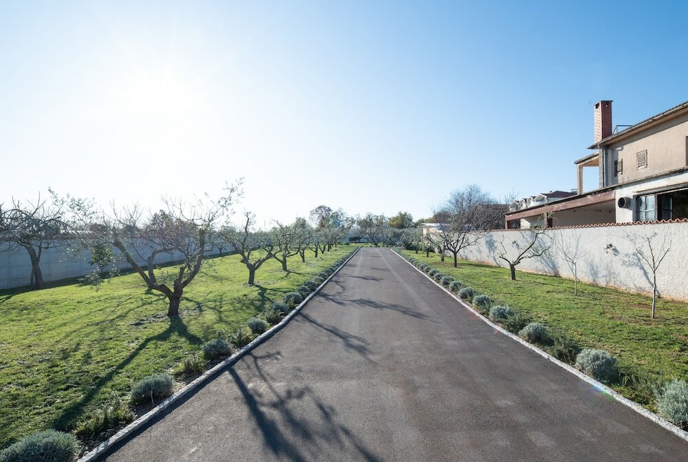 Фото Olive & Lavender villa with pool