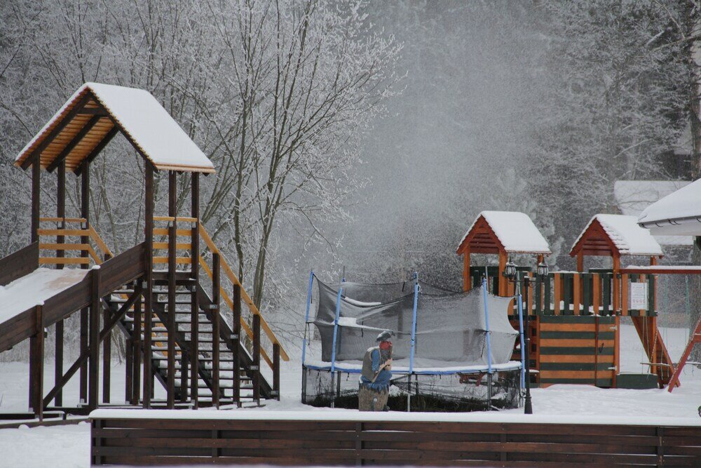 Фото Лесные поляны