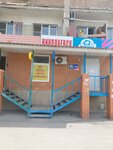 Волгодонтур (ulitsa Kirova, 21), bus transportation