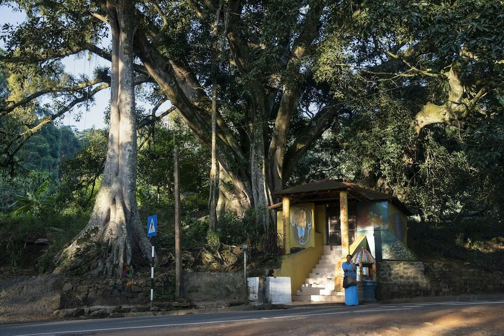 Фото 95847761184