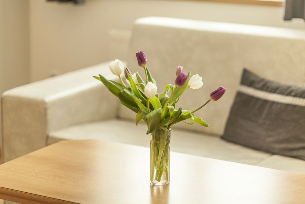 Фото Penzion Pohoda