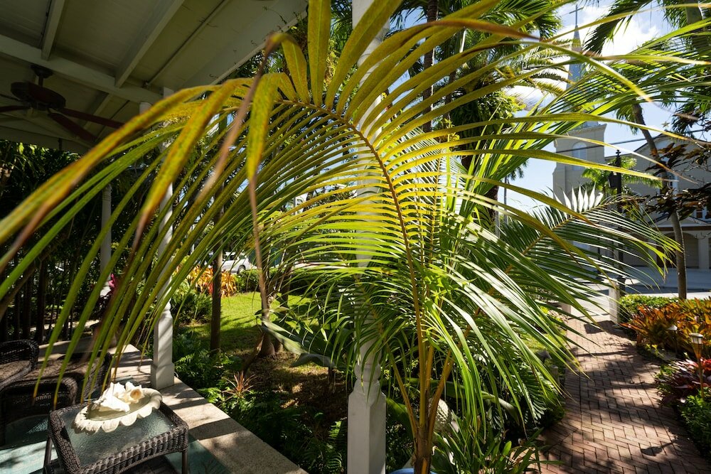 Фото The Mermaid & Alligator