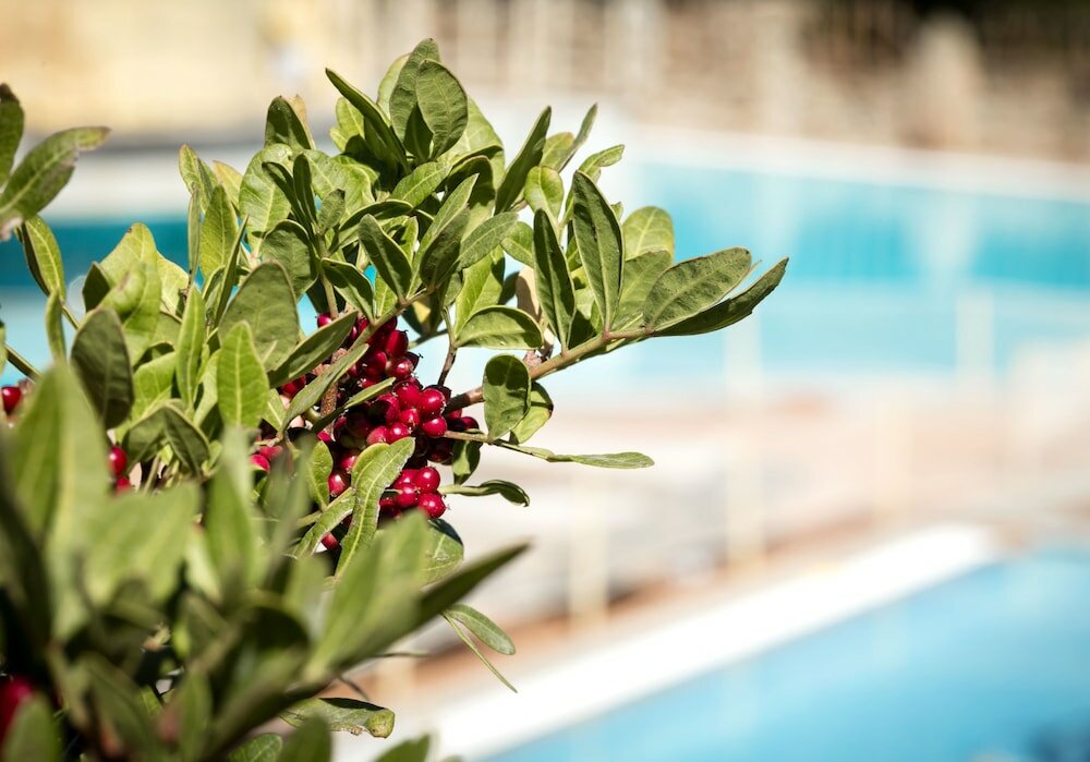 Фото Residenza Capriccioli