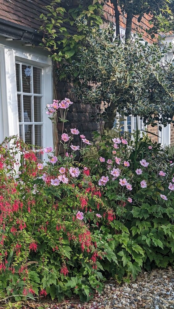 Фото Little Dane Court