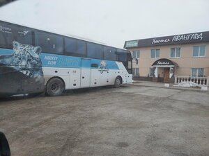Авангард