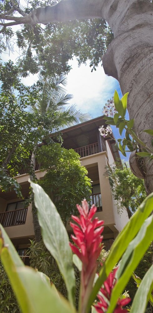 Фото Buri Rasa Koh Phangan